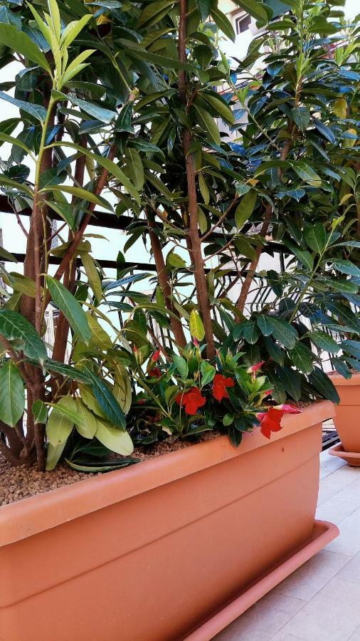 B&B Malaga Салерно Экстерьер фото